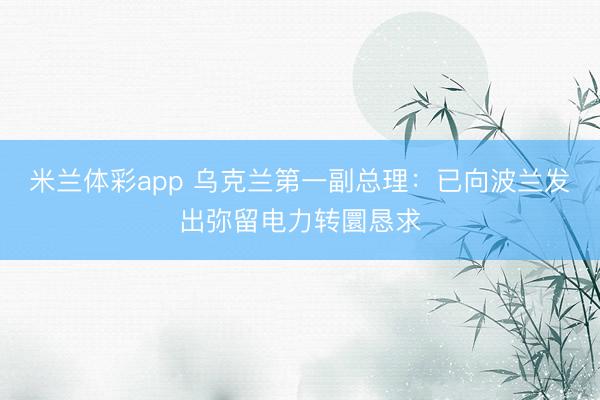 米兰体彩app 乌克兰第一副总理:已向波兰发出弥留电力转圜恳求