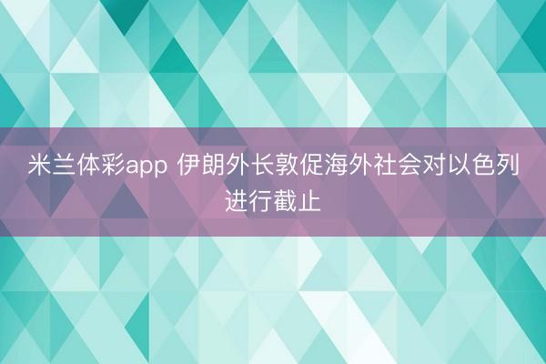 米兰体彩app 伊朗外长敦促海外社会对以色列进行截止