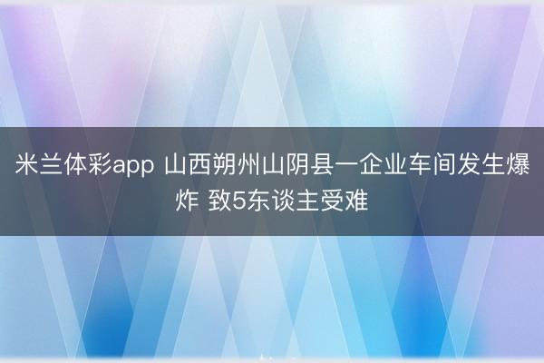 米兰体彩app 山西朔州山阴县一企业车间发生爆炸 致5东谈主受难
