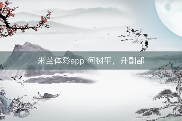 米兰体彩app 何树平,升副部