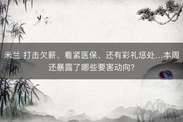 米兰 打击欠薪、看紧医保、还有彩礼惩处…本周还暴露了哪些要害动向？