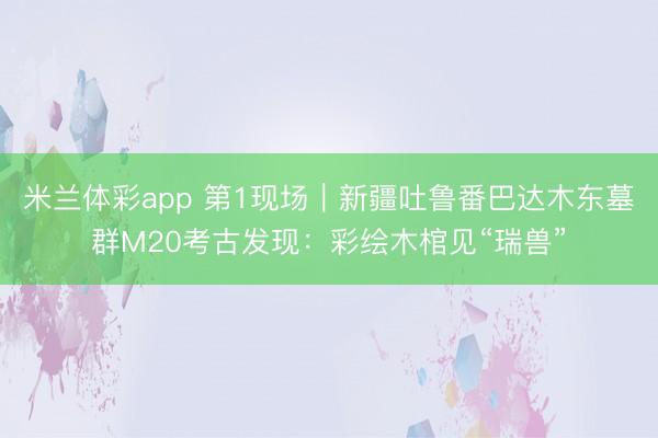 米兰体彩app 第1现场｜新疆吐鲁番巴达木东墓群M20考古发现：彩绘木棺见“瑞兽”