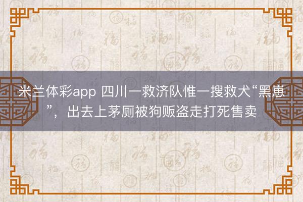 米兰体彩app 四川一救济队惟一搜救犬“黑崽”,出去上茅厕被狗贩盗走打死售卖