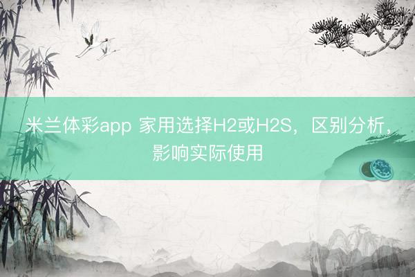 米兰体彩app 家用选择H2或H2S，区别分析，影响实际使用