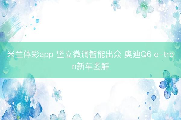 米兰体彩app 竖立微调智能出众 奥迪Q6 e-tron新车图解