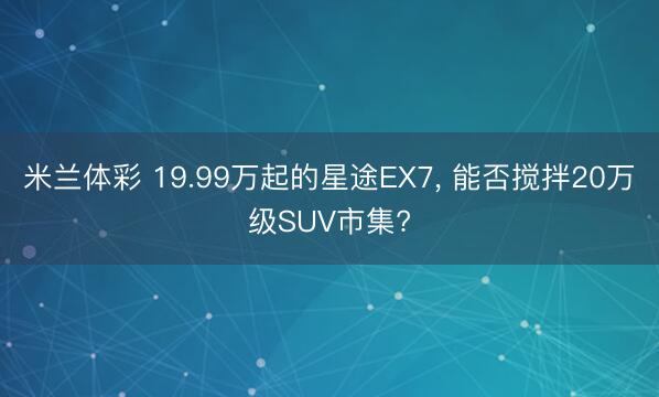 米兰体彩 19.99万起的星途EX7， 能否搅拌20万级SUV市集?