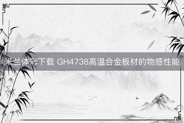 米兰体彩下载 GH4738高温合金板材的物感性能