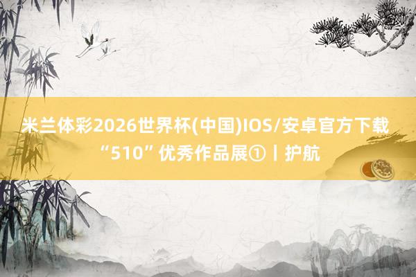 米兰体彩2026世界杯(中国)IOS/安卓官方下载 “510”优秀作品展①丨护航