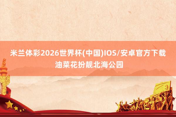 米兰体彩2026世界杯(中国)IOS/安卓官方下载 油菜花扮靓北海公园