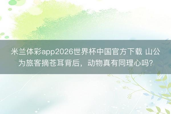米兰体彩app2026世界杯中国官方下载 山公为旅客摘苍耳背后,动物真有同理心吗?