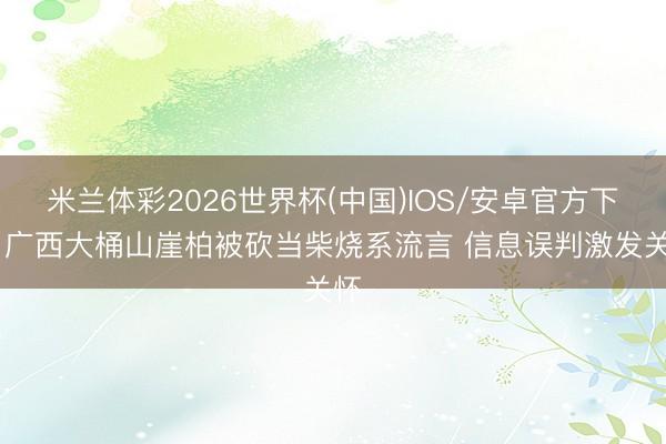 米兰体彩2026世界杯(中国)IOS/安卓官方下载 广西大桶山崖柏被砍当柴烧系流言 信息误判激发关怀