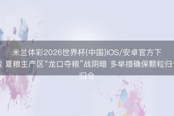 米兰体彩2026世界杯(中国)IOS/安卓官方下载 夏粮主产区“龙口夺粮”战阴暗 多举措确保颗粒归仓