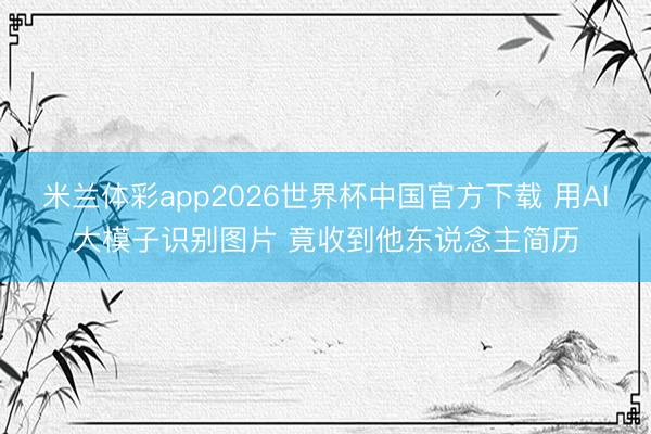 米兰体彩app2026世界杯中国官方下载 用AI大模子识别图片 竟收到他东说念主简历