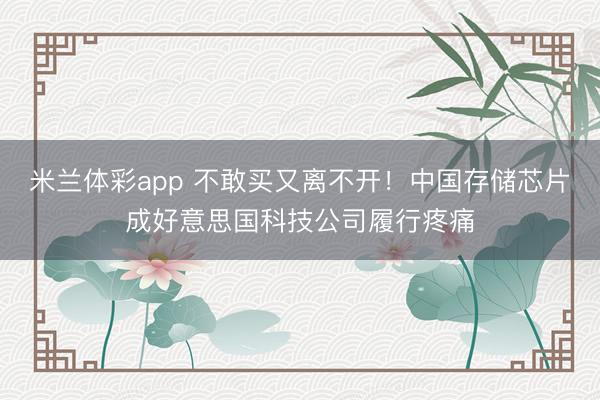 米兰体彩app 不敢买又离不开!中国存储芯片成好意思国科技公司履行疼痛