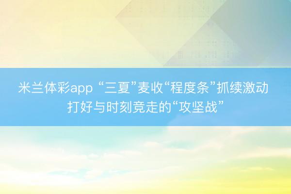 米兰体彩app “三夏”麦收“程度条”抓续激动 打好与时刻竞走的“攻坚战”
