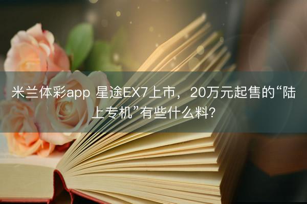 米兰体彩app 星途EX7上市，20万元起售的“陆上专机”有些什么料？