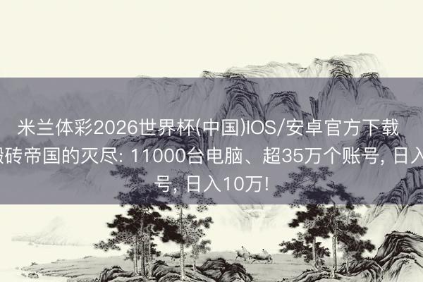 米兰体彩2026世界杯(中国)IOS/安卓官方下载 游戏搬砖帝国的灭尽: 11000台电脑、超35万个账号, 日入10万!